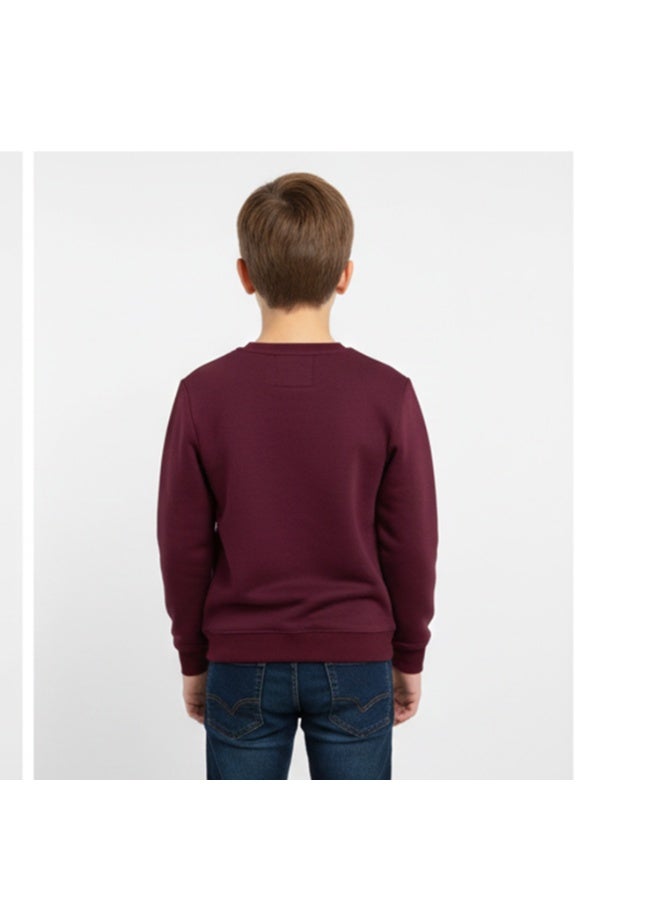 سيزار هودي أولادي ميلتون شتوي مزود بطباعات علي الصدر - Image 3